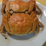 華都飯店 - 上海蟹(10〜12月)
