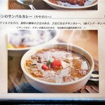 スプーンソング - 注文したカレー
