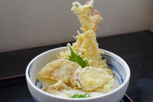 Honkaku Teuchi Udon Tomosaku, Kurashiki, Japan