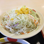 松屋 - 生野菜１１０円  みずみずしくてたっぷり食べられる!!コレはオススメ☆