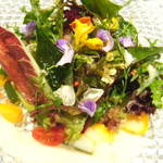 NARISAWA - 春野菜とアジのチーズソース