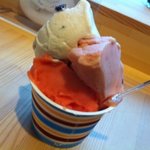 ジェラテリア ジェリーム - ﾗﾑﾚーｽﾞﾝ、ﾄﾏﾄ、ﾌﾟﾙーﾝ