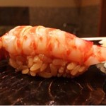 鮨 とかみ - 2016.5.  車海老