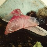 鮨 さかい - １．８キロもののアジ