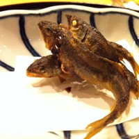 懐石料理 はし本 - 