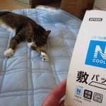 更來 - ♪Nクールはひんやり～