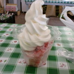 シャーベットソフト2016.6