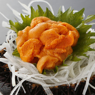 夜の接待に使える海栗屋自慢のうに尽くしコース