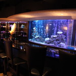 BAR WISTERIA - 