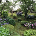 ガスト - 「鹽竈神社」に咲く紫陽花が綺麗♡（2016.6）