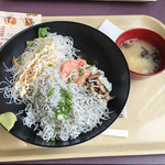 魚とと - しらすとネギトロの二色丼