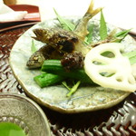 懐石料理 桝田 - 鮎の塩焼き