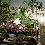 銀座 ハプスブルク・ファイルヒェン - 店内の豪華な花。