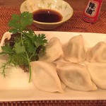 イスカンダル - 【’16.6末】パクチー餃子　650円