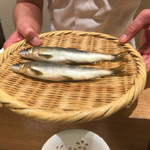 日本料理 太月 - 