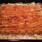 53014159 - 2016.06.28撮影
                      天然鰻・鰻重（特上）