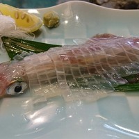 河太郎 中洲本店 - 