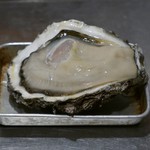むろまち 加地 - 16.6　特大牡蠣