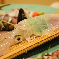 中洲鷹勝 本店 - 毎度はカタでお世話になります。。。透き通った烏賊