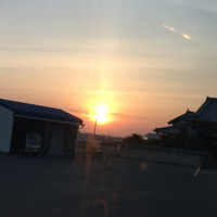 はと - 
