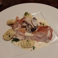 BISTRO DOUBLE - 国産鶏腿のロースト エキゾチックなニョッキとマッシュルームのクリームソース
