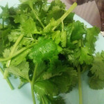 東桜パクチー 長者町店 - 