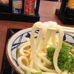 Marugame Seimen - かけうどん(並)(290円)