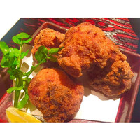 鳥ばか一代 - 