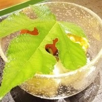 京料理 たか木 - 
