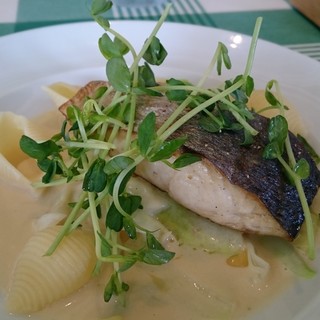 グリーングリル_0