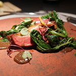 エクアトゥール - フランスラカン産鳩