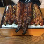 私が食べたのではないですが、大盛りにするとここまでごはんが入ります。