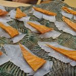 千葉勝山産アオリイカ、バチコ