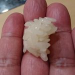 初音鮨 - シャリ