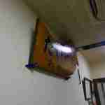 たいやき わかば - たいやきわかばはたい焼きが名物ということで