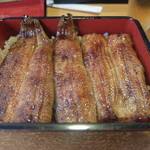 鰻八 - うな重、特上