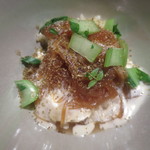 カゲロウ - ふかひれのリゾット