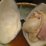 端黎 - 地蛤鍋(地蛤)・・・殻が厚いん分かります！？