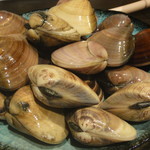 端黎 - 地蛤鍋(地蛤)