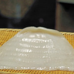 初音鮨 - アオリイカ