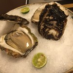 田舎の隠れ宿 いっぺん庵 - 