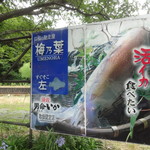 梅乃葉 - (第2回）看板