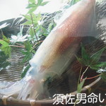 梅乃葉 - (第2回）イカが名物です