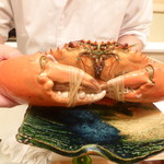 是しん - のこぎりガザミ