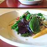 ろあん松田 篠山店 - 低気圧調理野菜のサラダ：マーシュマロウ、セルベチカなど珍しい野菜やハーブを山椒オイルで。乾燥エノキがアクセント