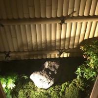 味野里香 - 坪庭。