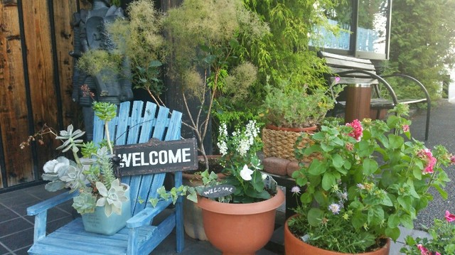 森乃館 古川店（モリノヤカタ） - 塚目（パスタ）の写真