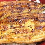 鯉とうなぎのまるます家 - 