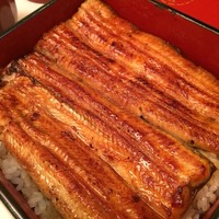 鰻割烹 伊豆栄 梅川亭 - 