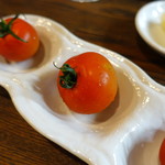 くわはた - ミディトマト